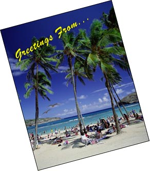postcard image of beach and palm trees