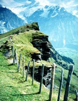 mountainside picture with a steep trail heading towards the top