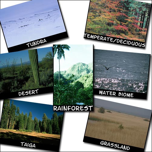 Water biomes (fresh and salt water); Tundra; Taiga; Temperate or Deciduous Forest; Grasslands; Desert; Tropical Rain Forestt
