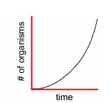 The vertical axis shows the number of organisms and the horizontal axis shows the time. The curve starts from the origin and rises more and more sharply.