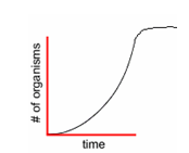 Chart of exponential growth followed by the leveling off point due to limiting factors. the vertical axis shows the number of organisms and the horizontal axis shows the time. The curve starts from the origin and rises more and more sharply , and then levels off.