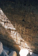 Egyptian heiroglyphs from wall of tomb