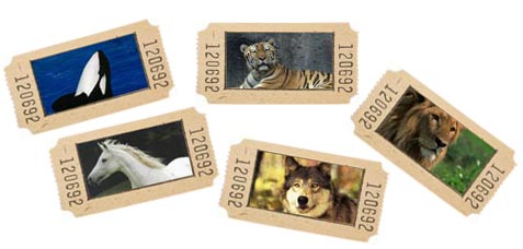 collage of tickets with different animal images on them: whale, tiger, lion, wolf and horse