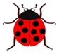 Spotted Ladybug