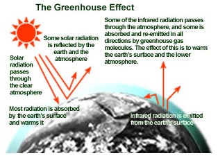 The greenhouse effect is illustrated here. Arrow pointing from the sun through the clear atmosphere to the earth - solar radiation passes through the clear atmosphere and most radiation is absorbed by the earths surface and warms it. Reflecting arrows pointing from the sun to the earth and then back to the clear atmosphere - some solar radiation is reflected by the earth and the atmosphere.  Arrows pointing from earth through greenhouse gas molecules to all directions  infrared radiation is emitted from the earths surface, and some of the infrared radiation passes through the atmosphere, and some is absorbed and re-emitted in all directions by greenhouse gas molecules. The effect of this is to warm the earths surface and the lower atmosphere.