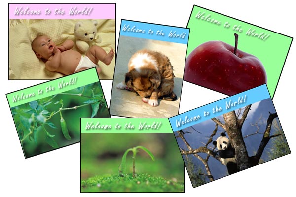 welcome to the world – a baby, a baby puppy, an apple, a plant that just came out of the ground, a baby panda and a fruit hanging on the plant